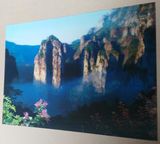 3D Effect Lenticular Printing Moving Picture Wall Decor